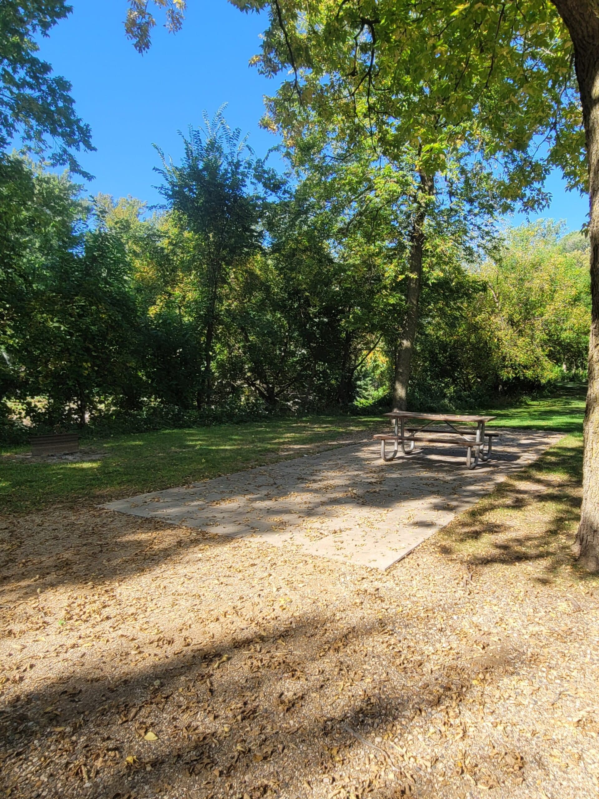 campground site campground site 21 with a wide gravel path, trees, green grass and a picnic table