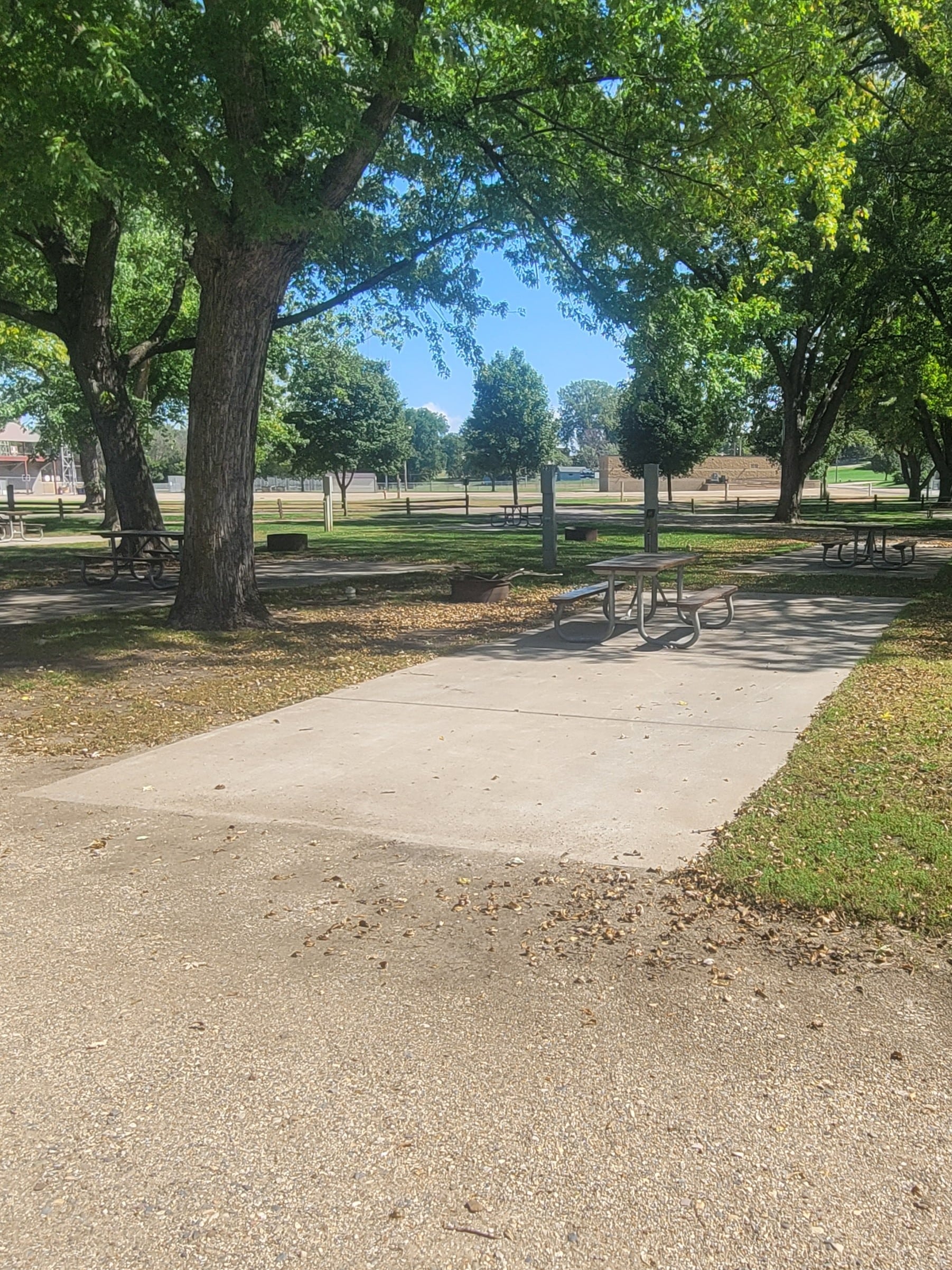 campground site campground site 22 with a gravel path, trees, green grass and a picnic table