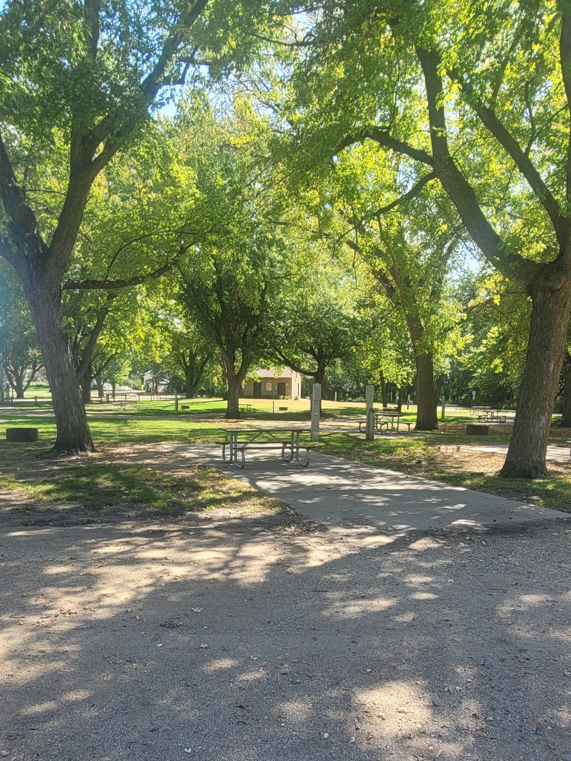 campground site campground site 23 with a gravel path, trees, green grass and a picnic table