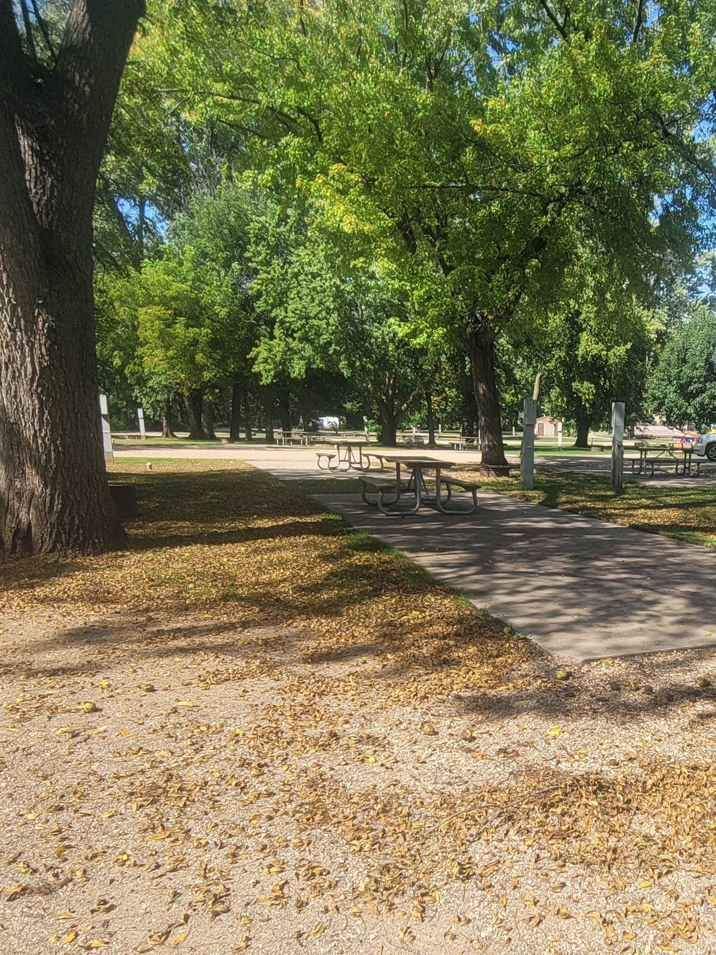 campground site campground site 26 with a gravel path, trees, green grass and picnic tables