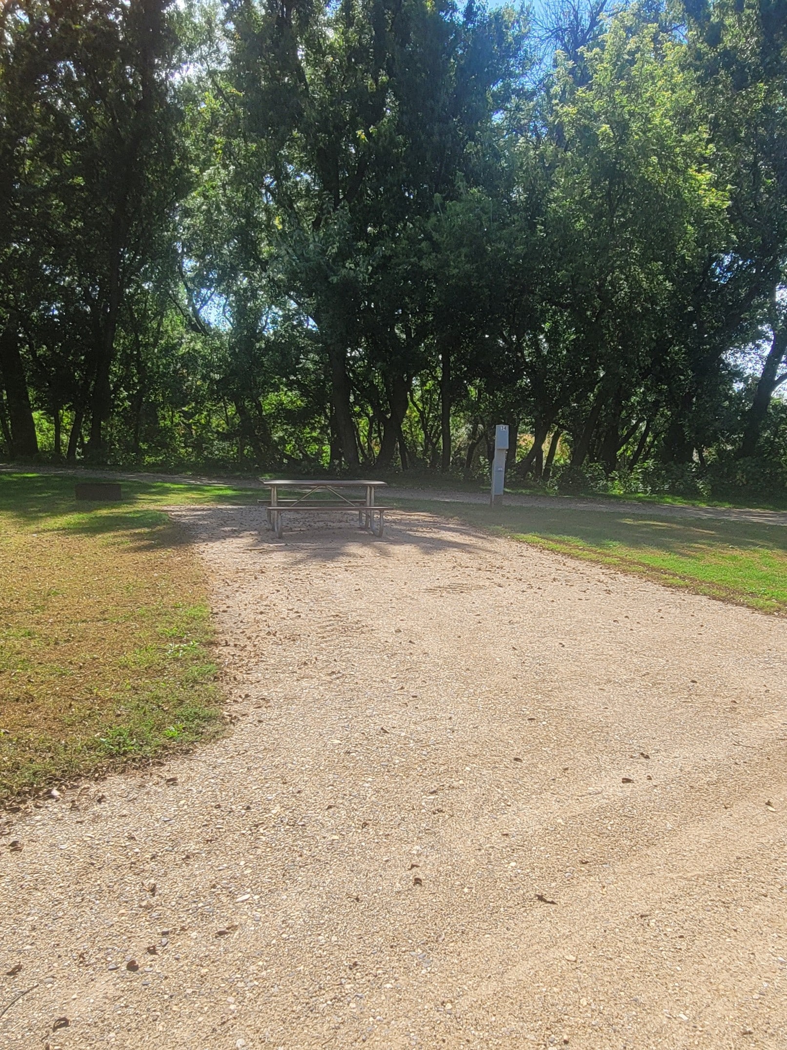 campground site 34 with a gravel path, trees and green grass with a picnic table