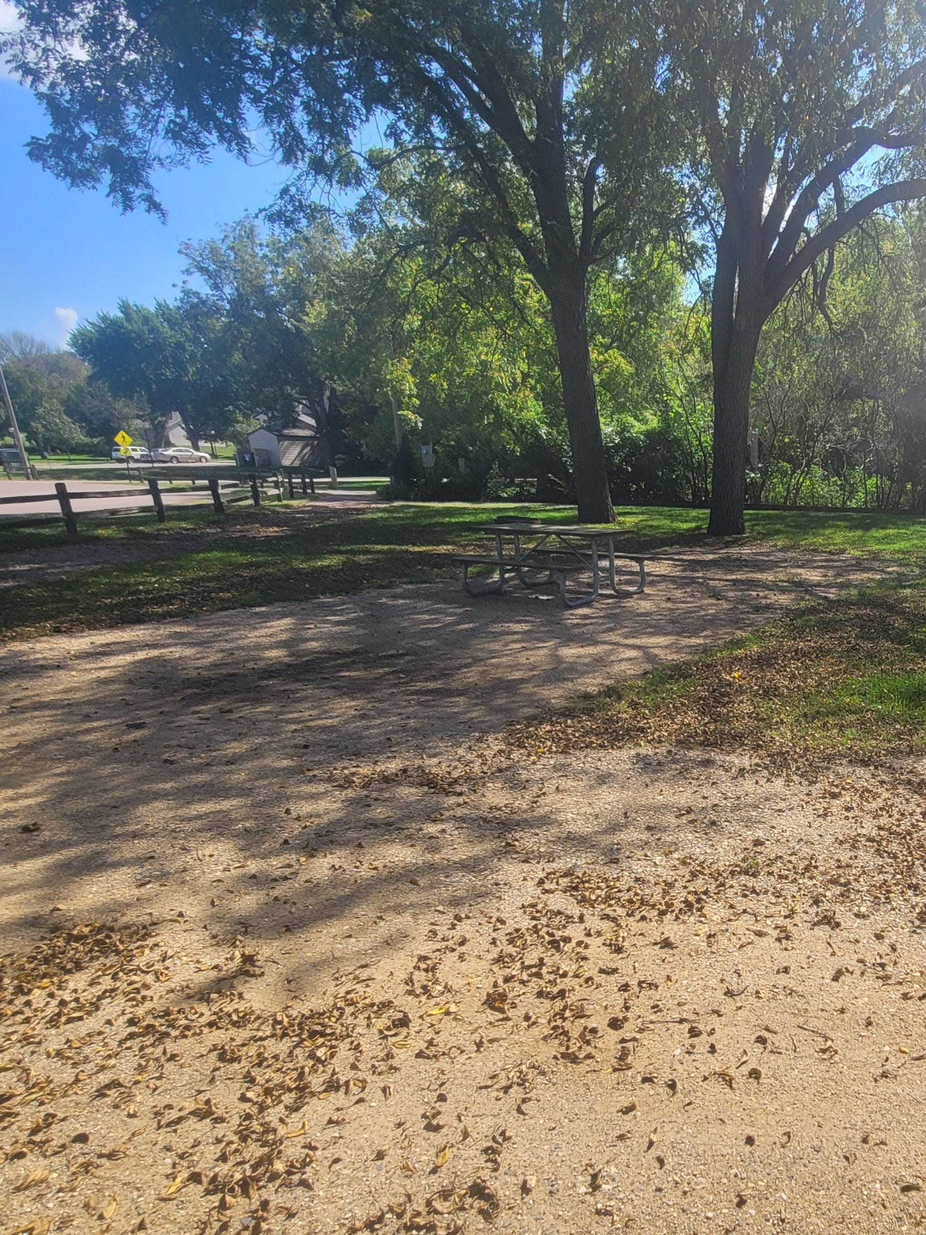 campground site 36 with a gravel path, trees, green grass and a picnic table