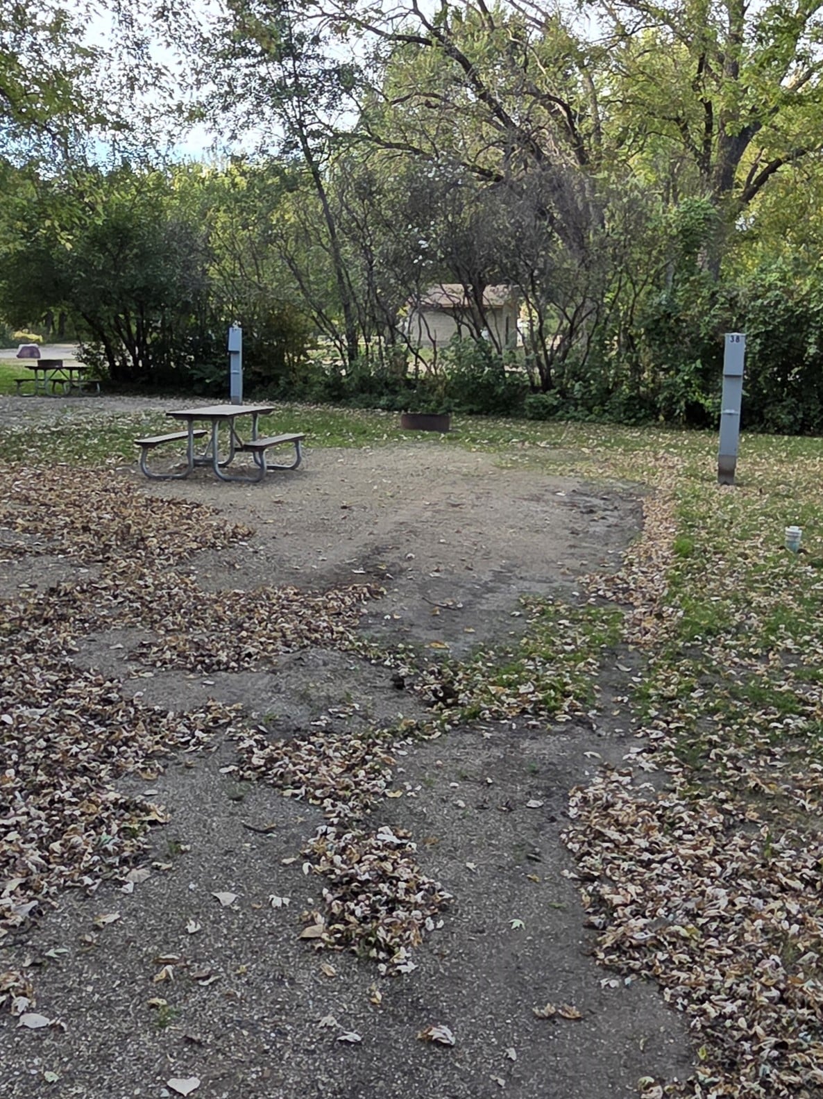 campground site campground site 38 with a gravel path, trees, green grass picnic table and a building